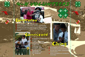 4H Volunteers